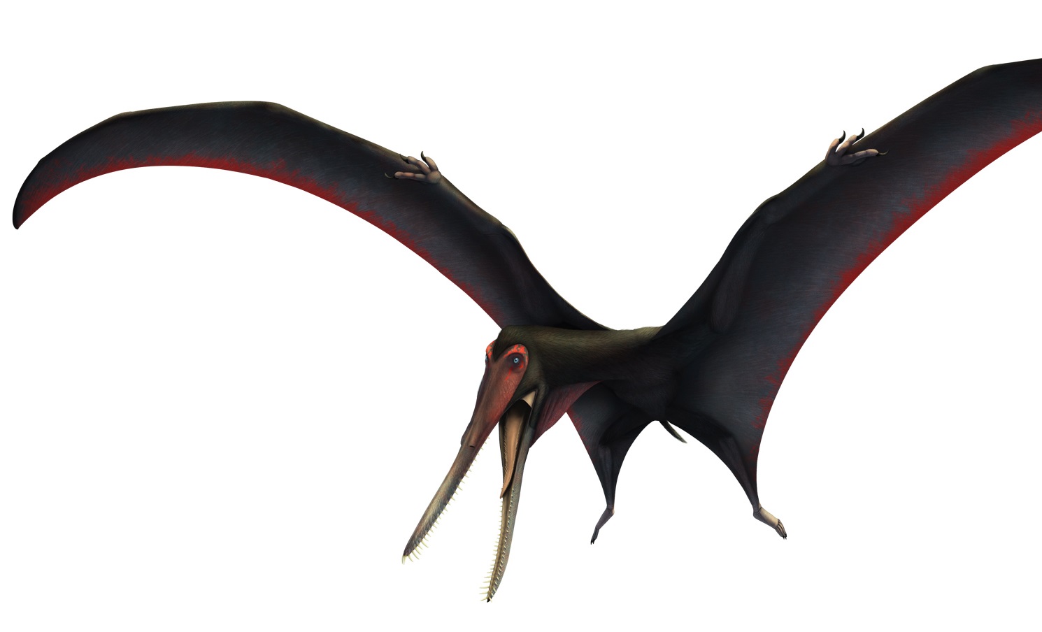 Species New to Science: [Paleontology • 2019] On Targaryendraco wiedenrothi  gen. nov. (Pterodactyloidea, Pteranodontoidea, Lanceodontia) and  Recognition of A New Cosmopolitan Lineage of Cretaceous Toothed  Pterodactyloids